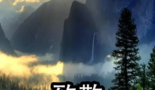 黑色家庭混战